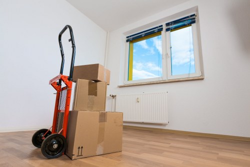 Efficient moving process with expert service